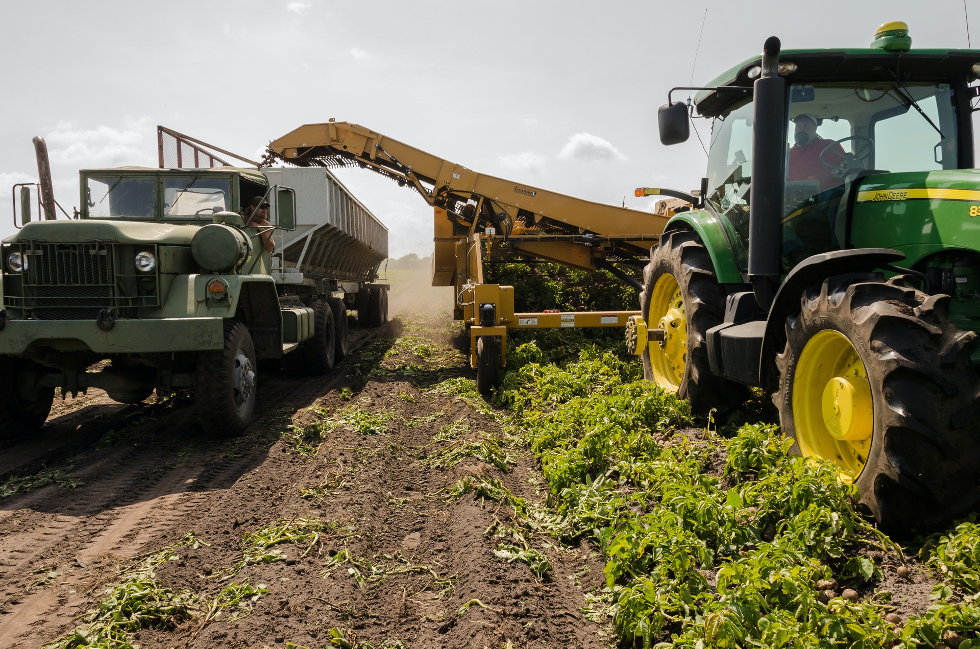 Coopérative d'Utilisation du Matériel Agricole