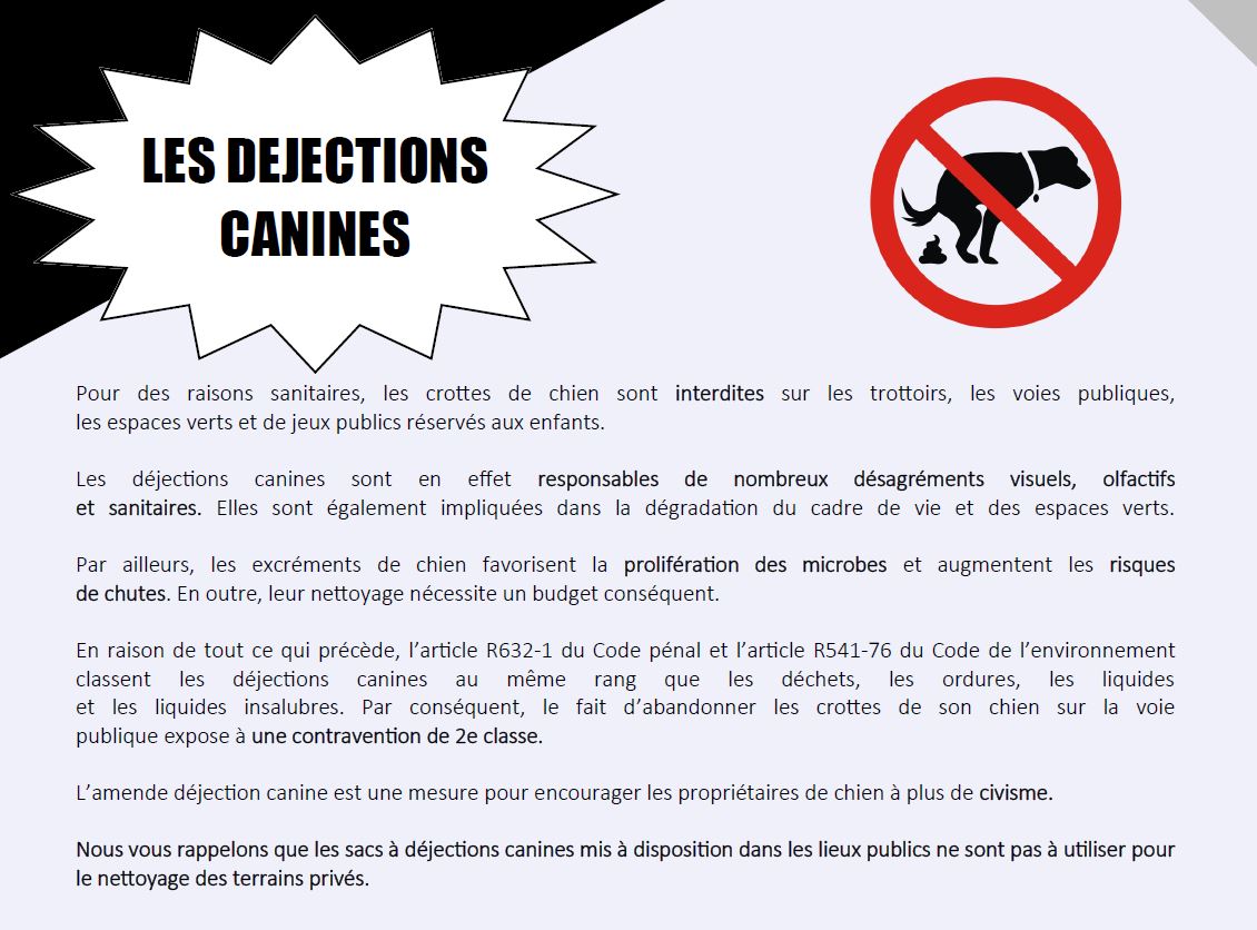 Image retirée.