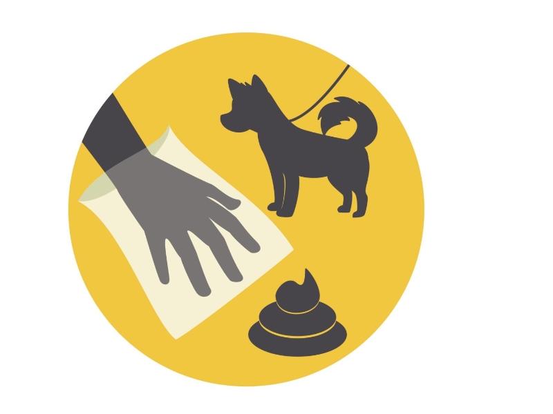 Les déjections canines